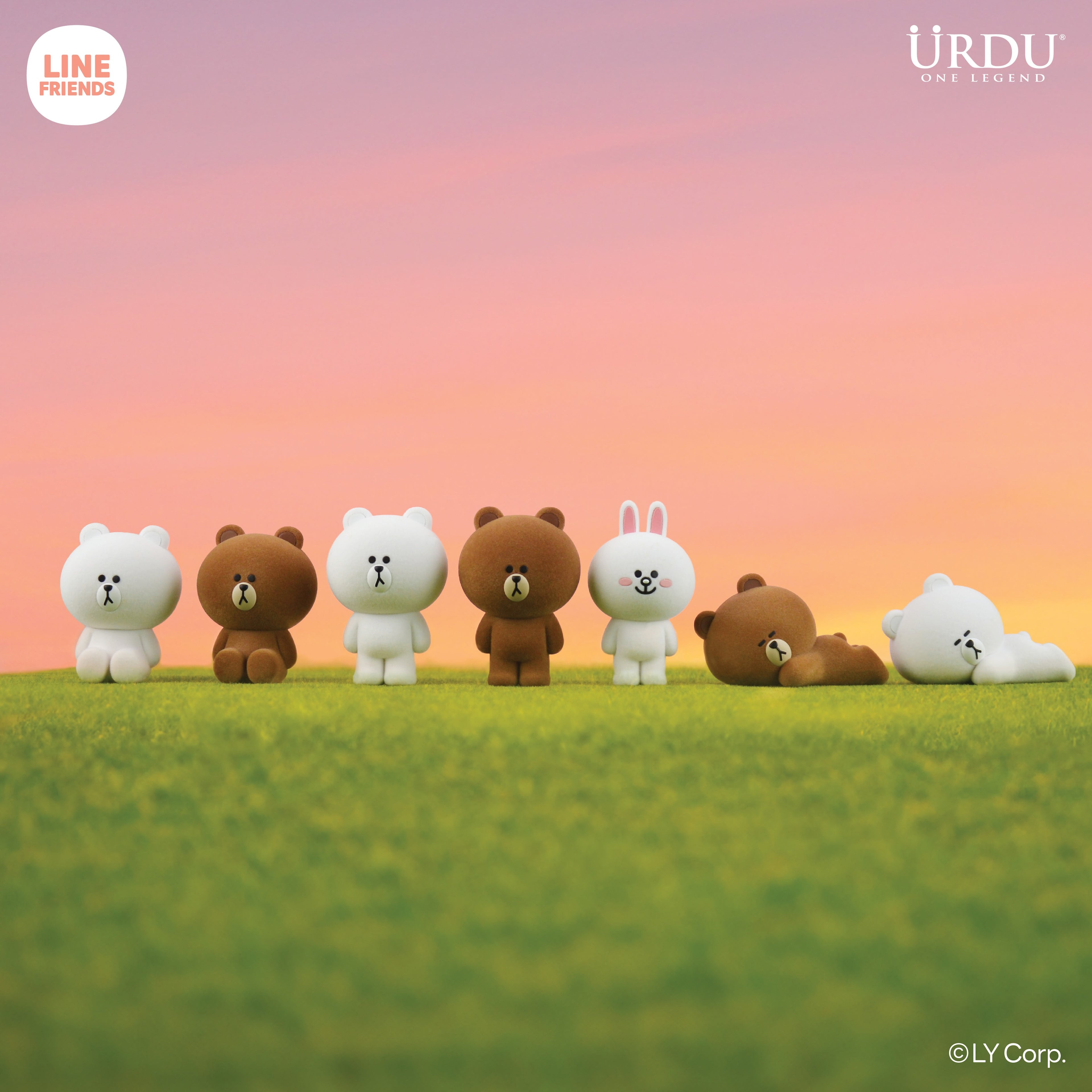 URDU Line Friends Meets Flocking Series
