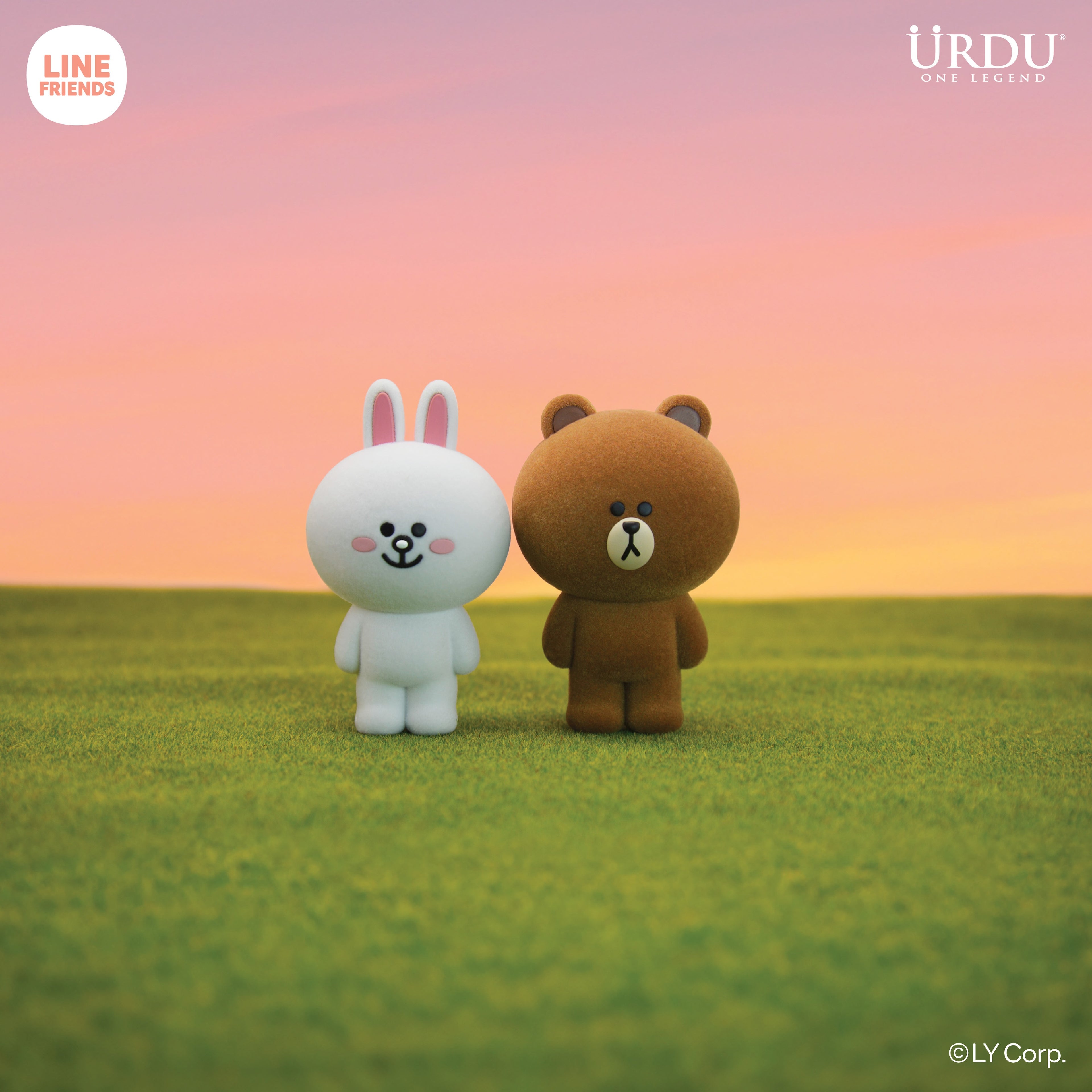 URDU Line Friends Meets Flocking Series