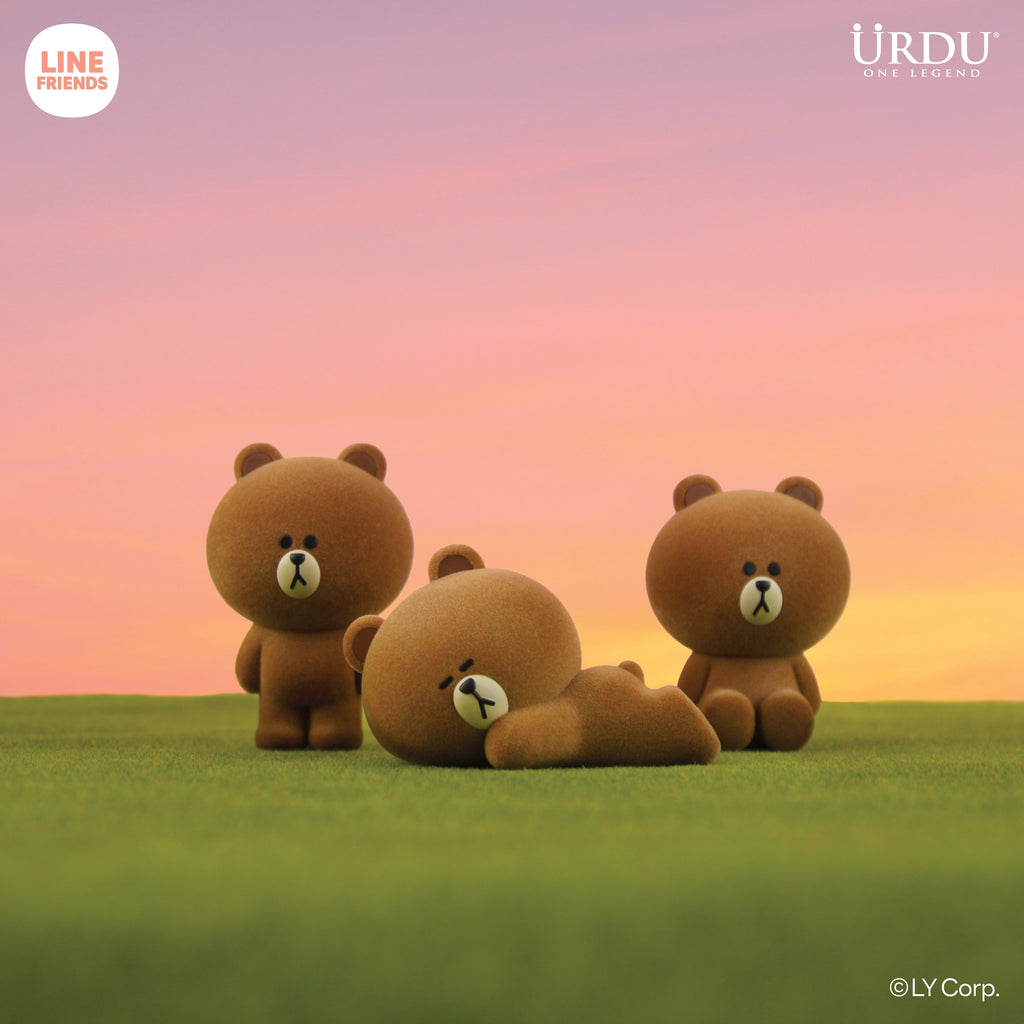 URDU Line Friends Meets Flocking Series