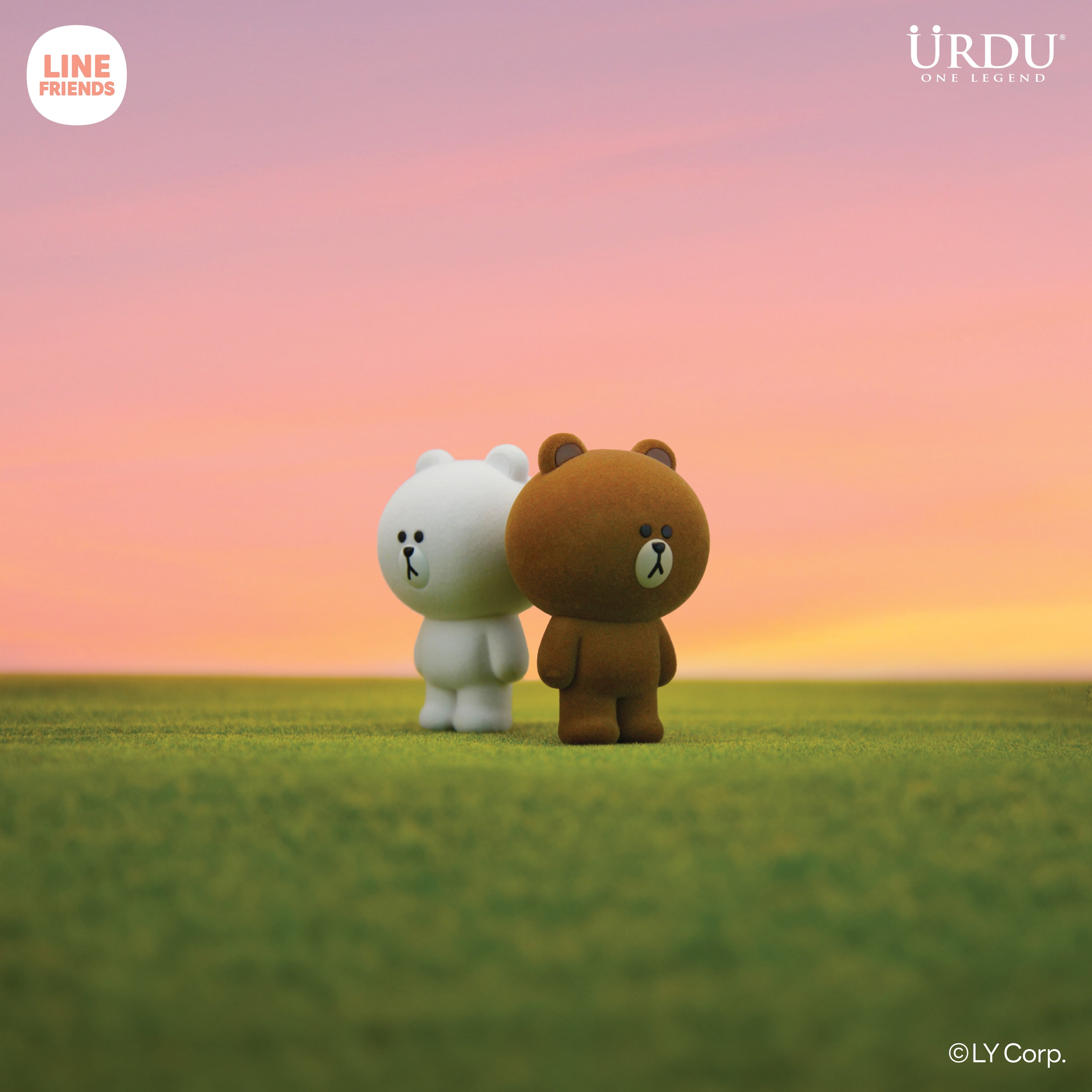 URDU Line Friends Meets Flocking Series